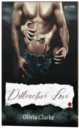 Destructive love (Paperback)