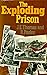 The exploding prison: Prison riots and the case of Hull