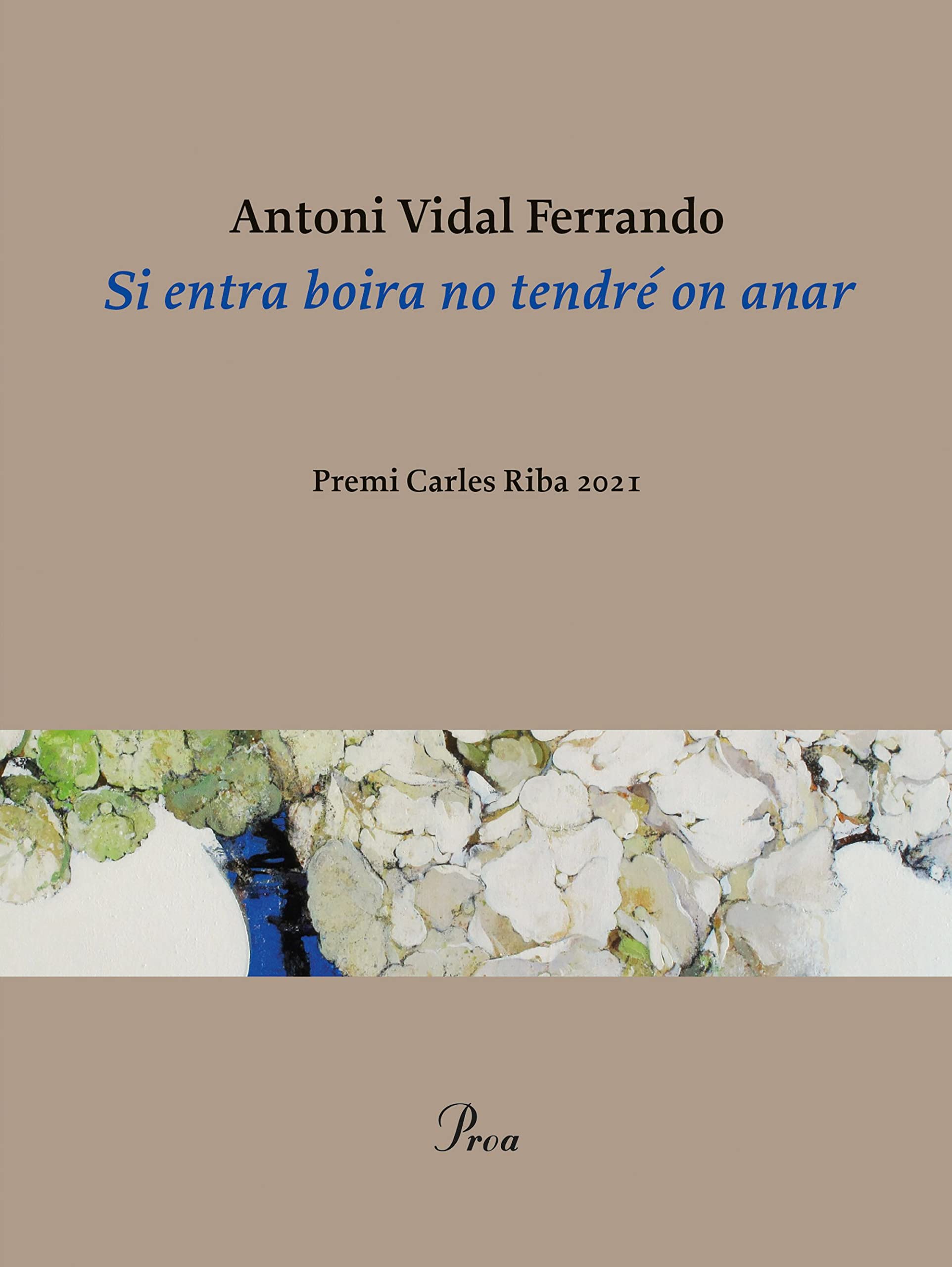 Si entra boira no tendré on anar (Paperback)