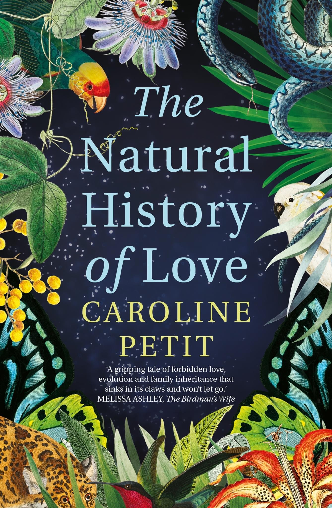 The Natural History of Love (Paperback)