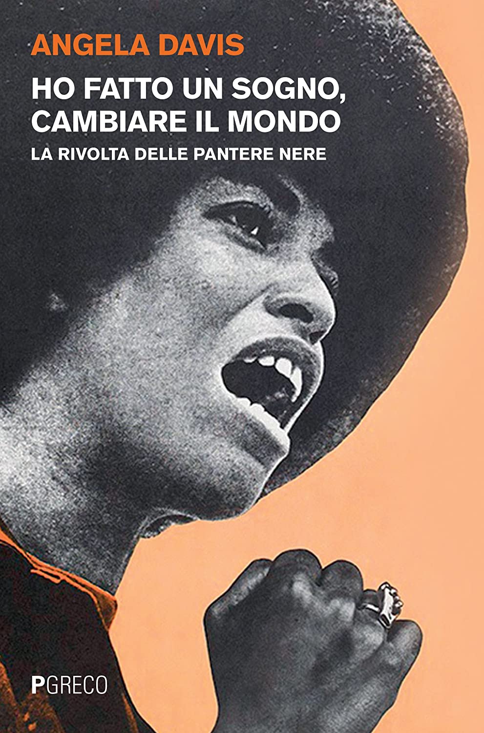 Ho fatto un sogno, cambiare il mondo. La rivolta delle pantere nere