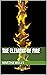 The Element of Fire by Martha Wells
