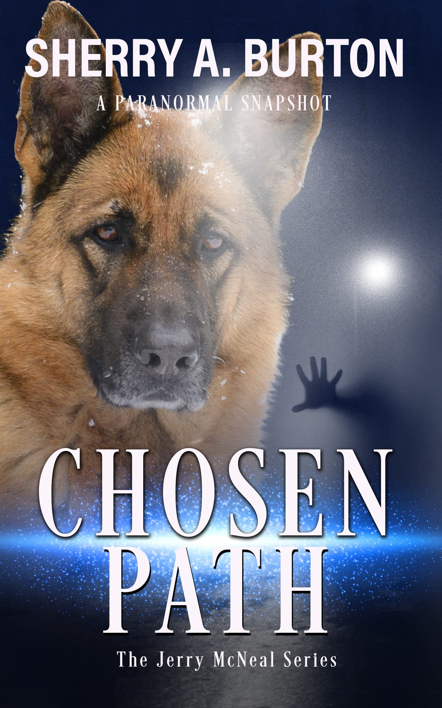 Chosen Path (Jerry McNeal, #4)