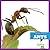 Ants (Bullfrog Books: Insect World)