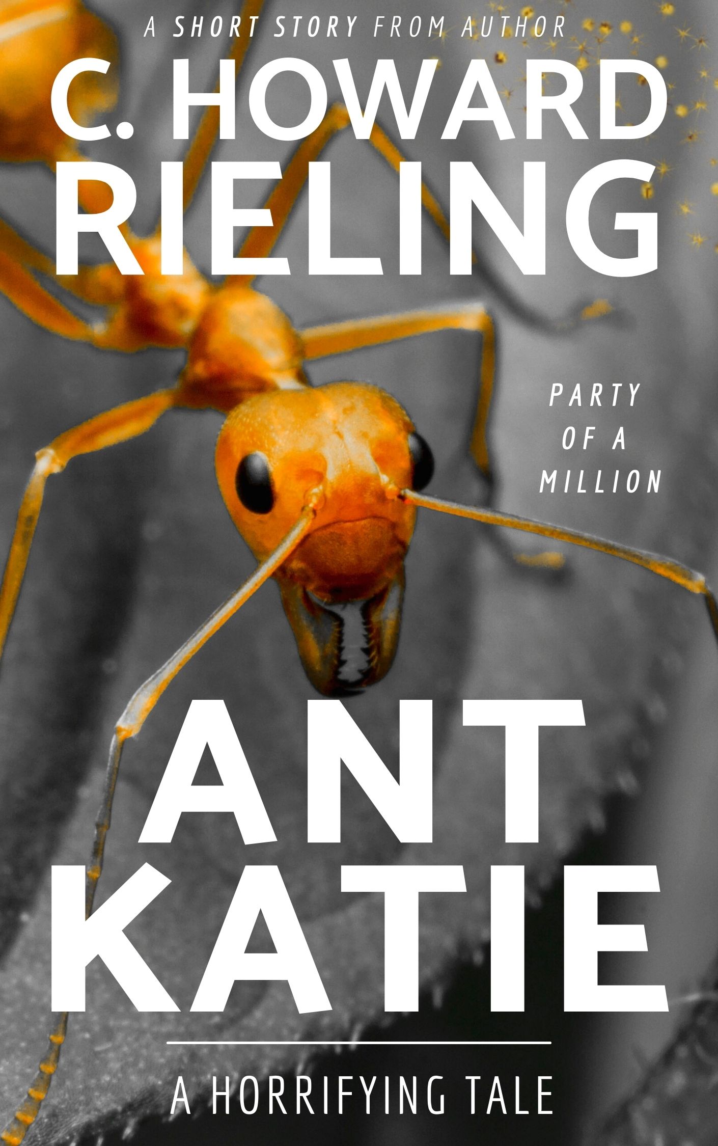 Ant Katie