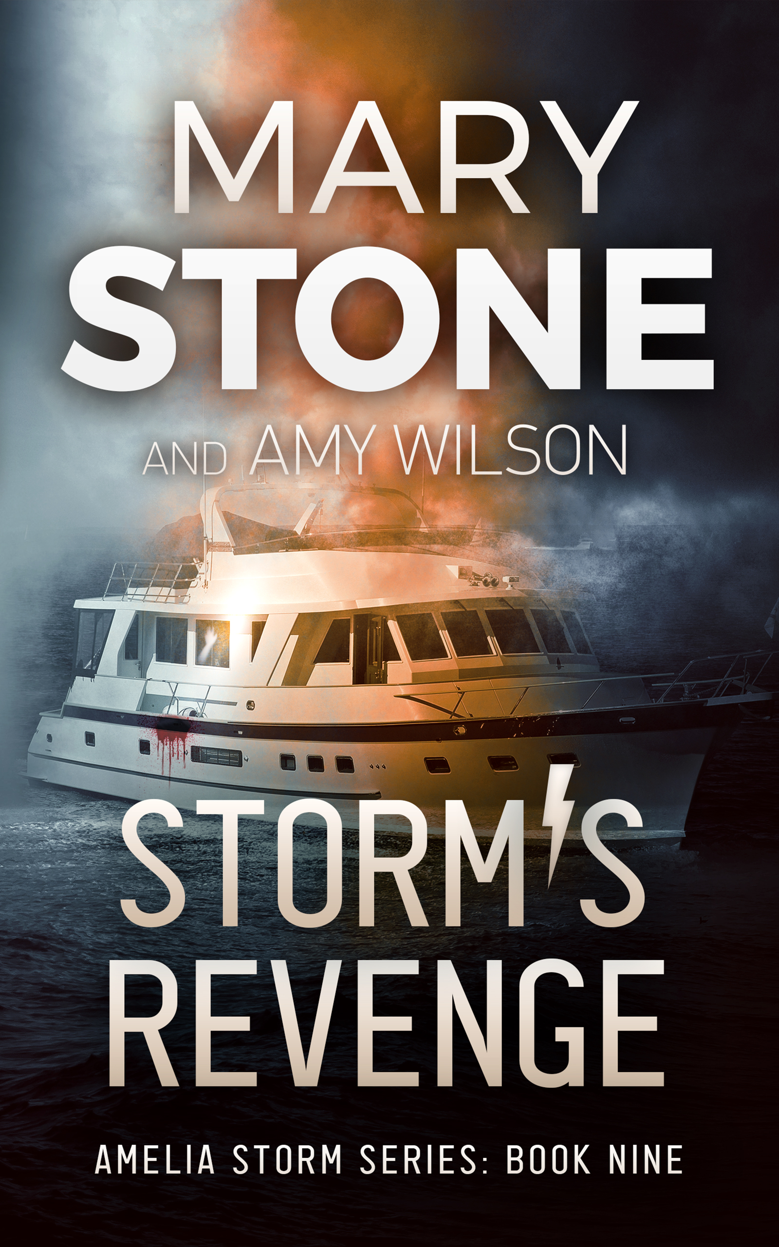 Storm's Revenge (Amelia Storm #9)