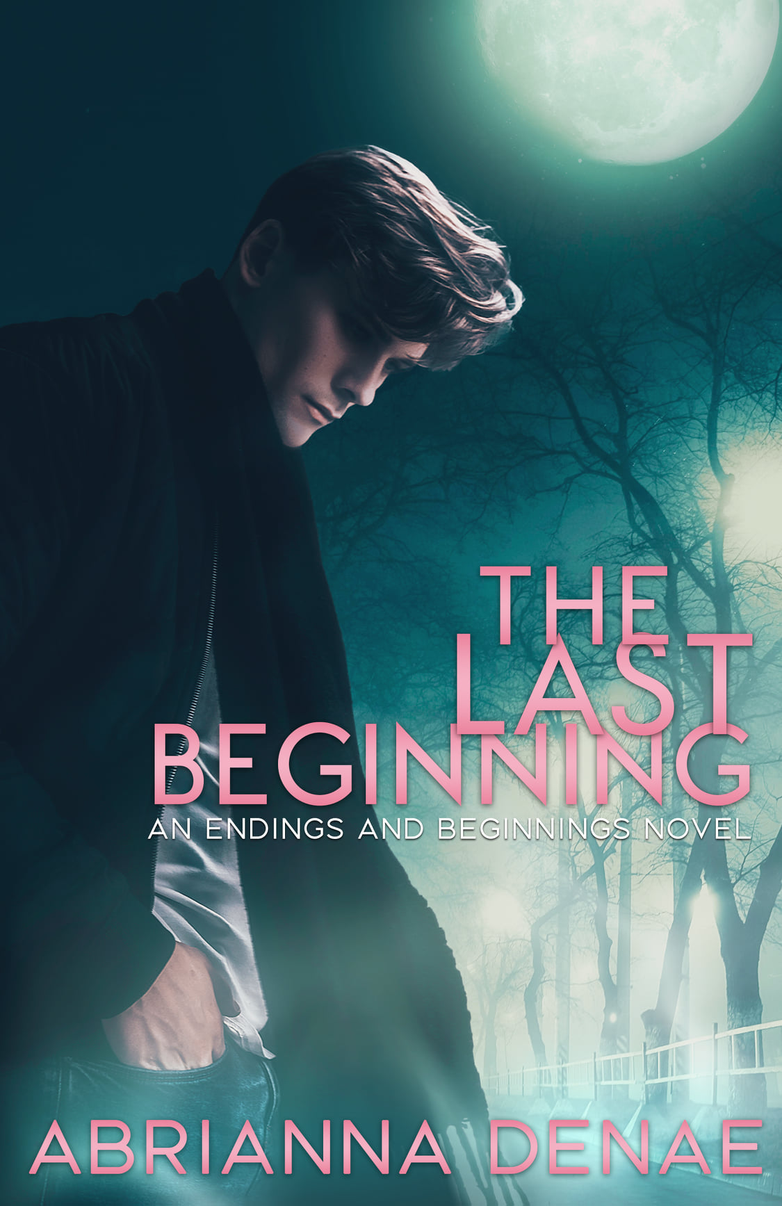 The Last Beginning (Endings and Beginnings, #1)