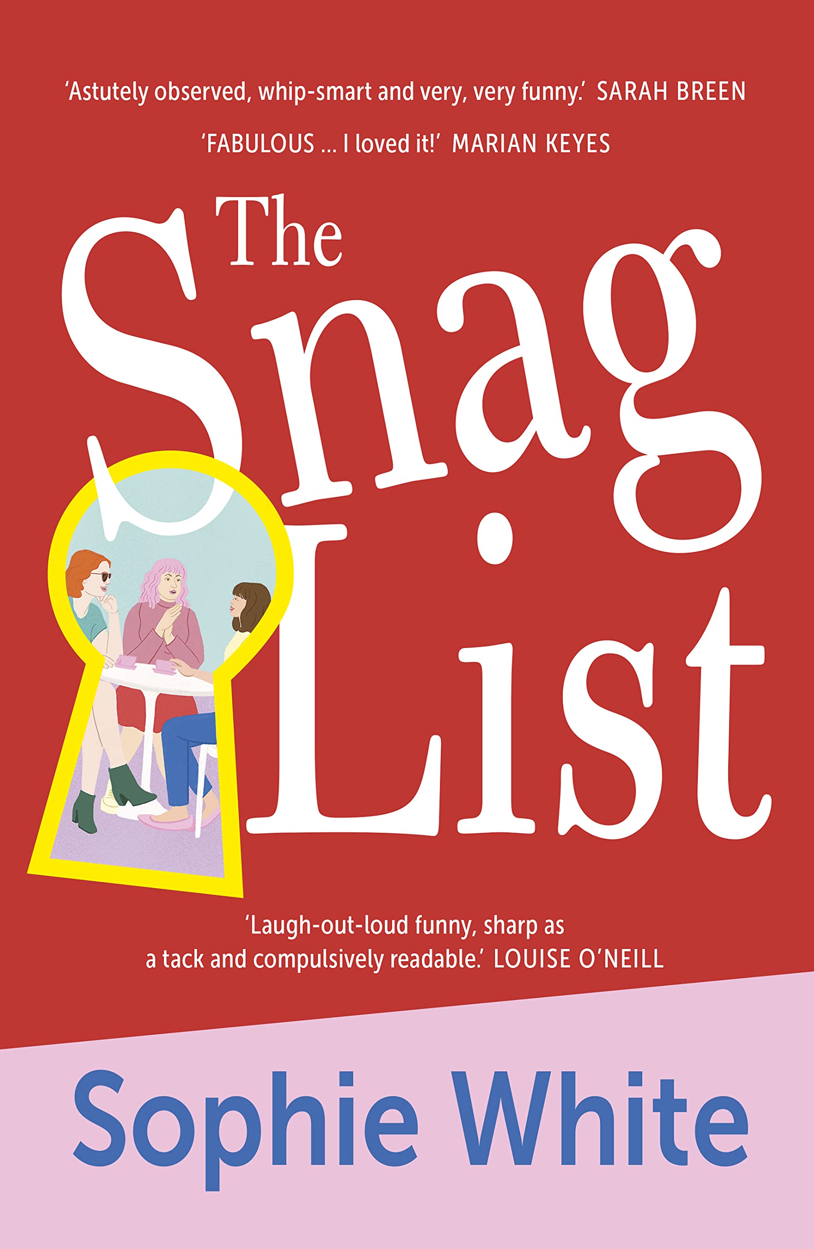 The Snag List: A smart and laugh-out-loud funny novel about female friendship (Kindle Edition)