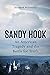 Sandy Hook by Elizabeth  Williamson