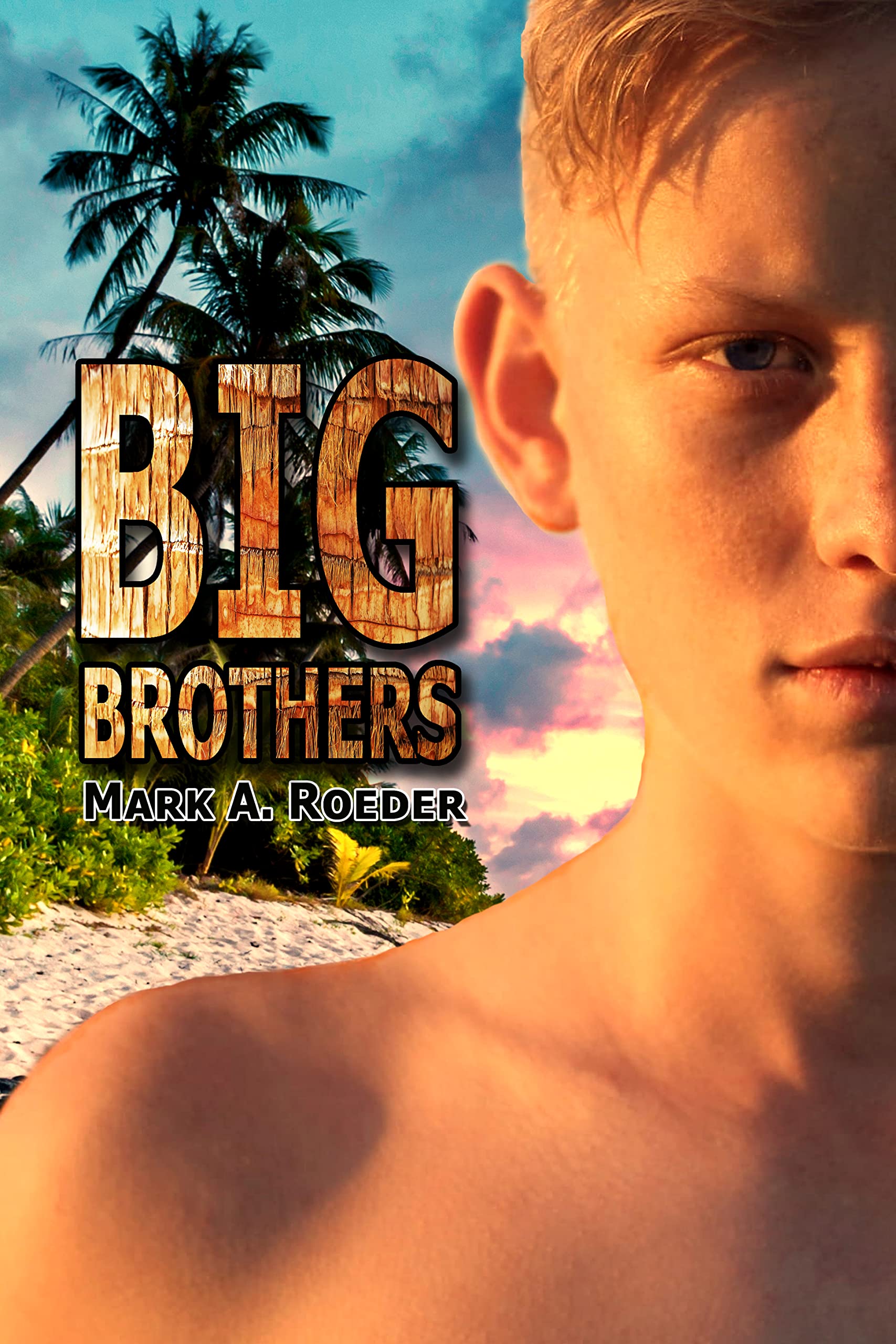 Big Brothers: Have All the Fun (Kindle Edition)