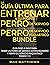La Guía Última Para Entrena...
