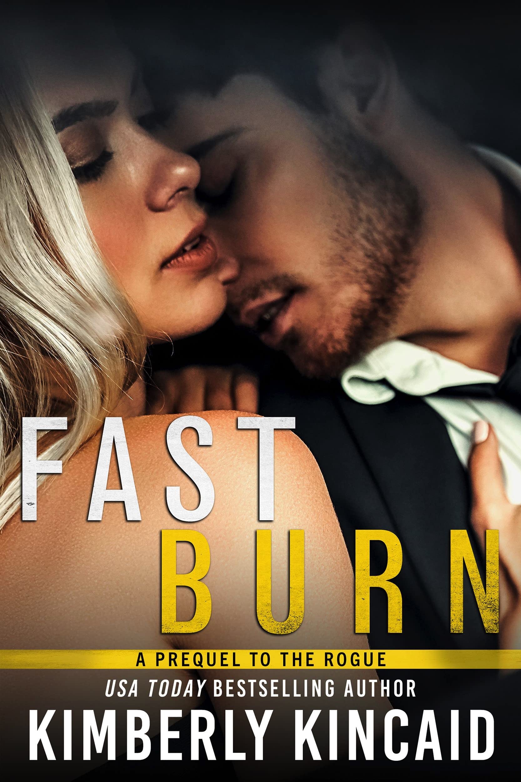 Fast Burn (The Intelligence Unit, #3.5)