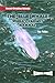 The Blue Whale: World's Largest Mammal (Animal Record Breakers)