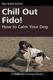 Chill out Fido! How to Calm Your Dog