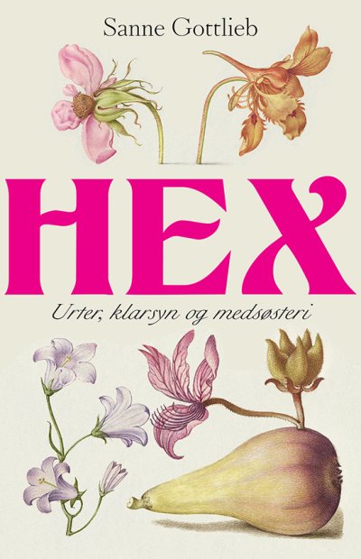 Hex (Hardcover)