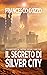 Il Segreto di Silver City