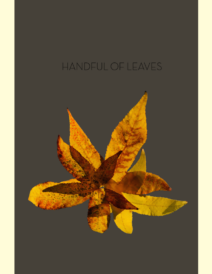 Handful of Leaves: an Anthology from the Sutta Piṭaka (ebook)