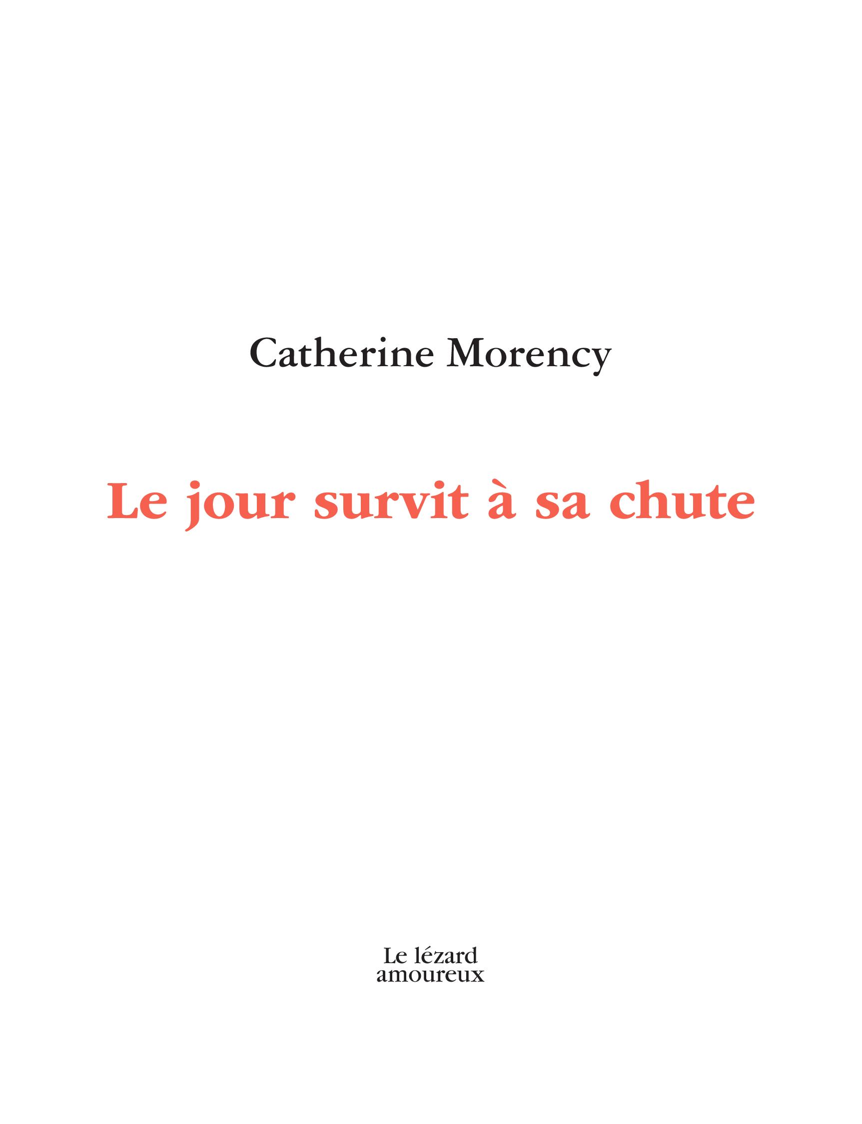 Le jour survit à sa chute (Paperback)