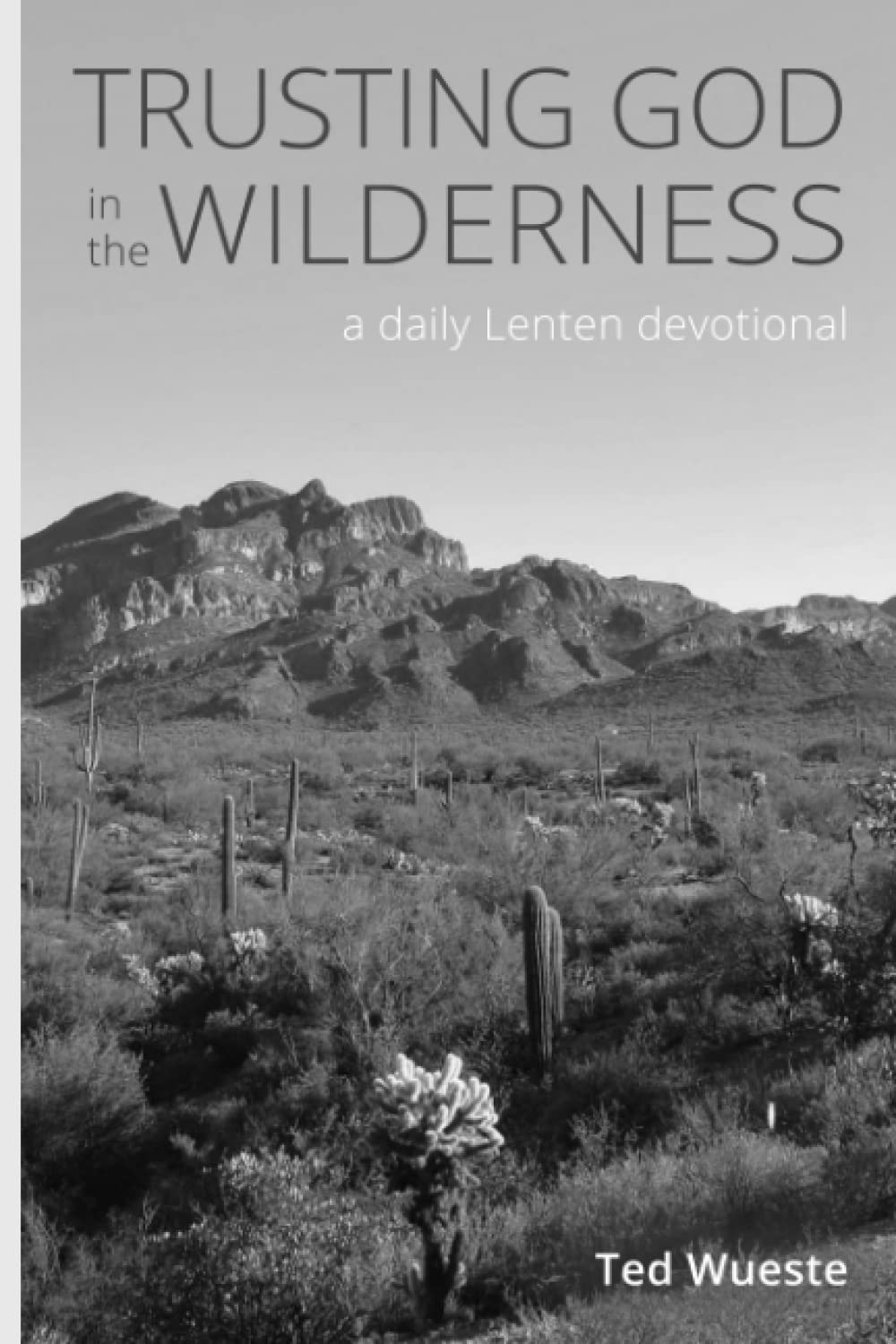 Trusting God in the Wilderness: Lenten Reflections: Sin, Suffering, and Temptation: 1 Corinthians 10:1-13 (Paperback)