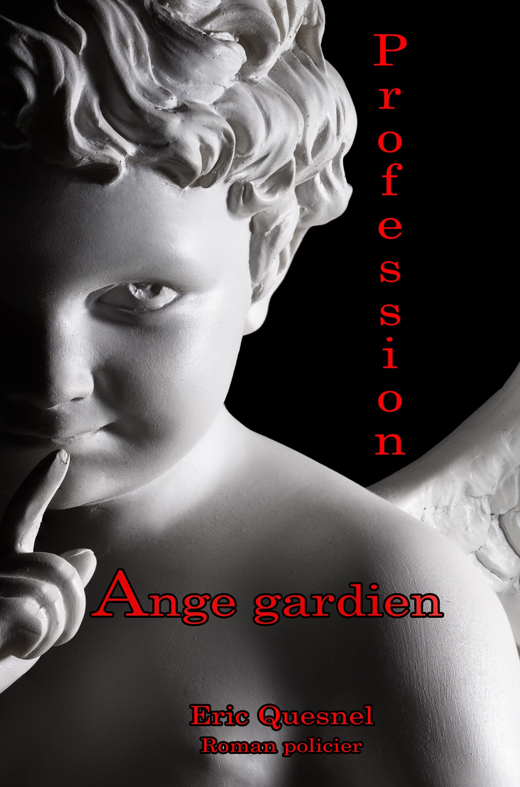 Profession : ange gardien (French Edition)
