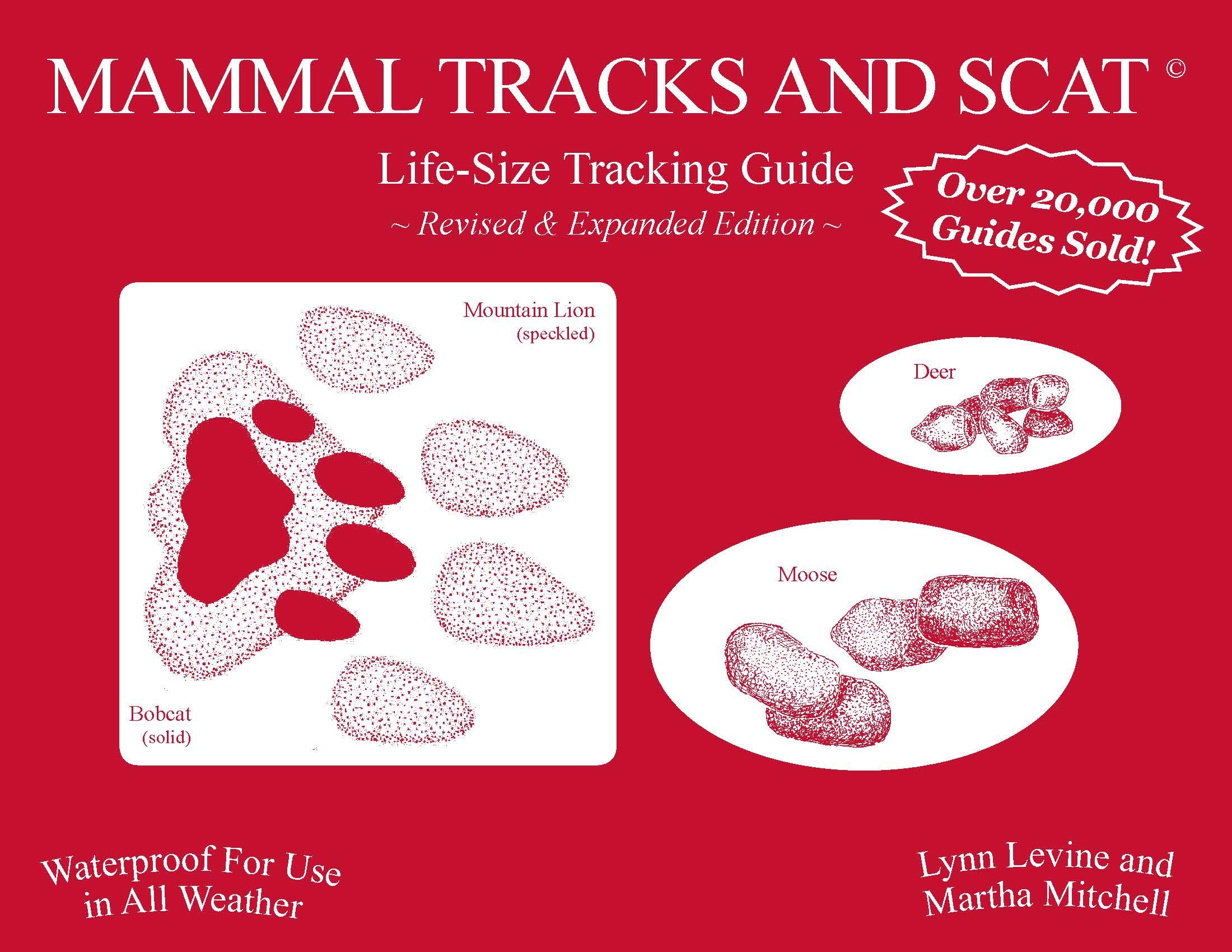 Mammal Tracks and Scat: Life-Size Tracking Guide (Spiral-bound)
