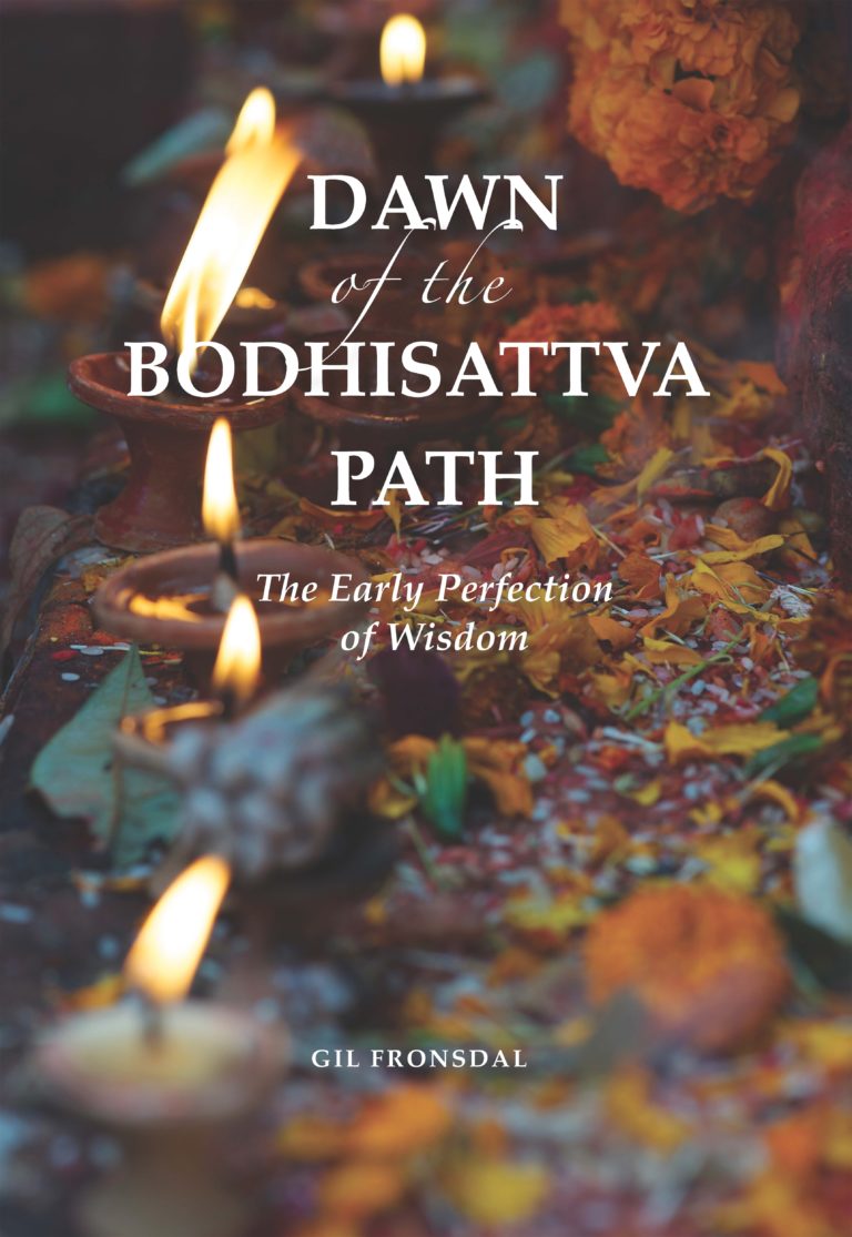 Dawn of the Bodhisattva Path: The Early Perfection of Wisdom (Contemporary Issues in Buddhist Studies)
