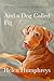 And A Dog called Fig: Solitude, Connection, the Writing Life