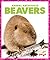 Beavers (Pogo: Animal Architects)