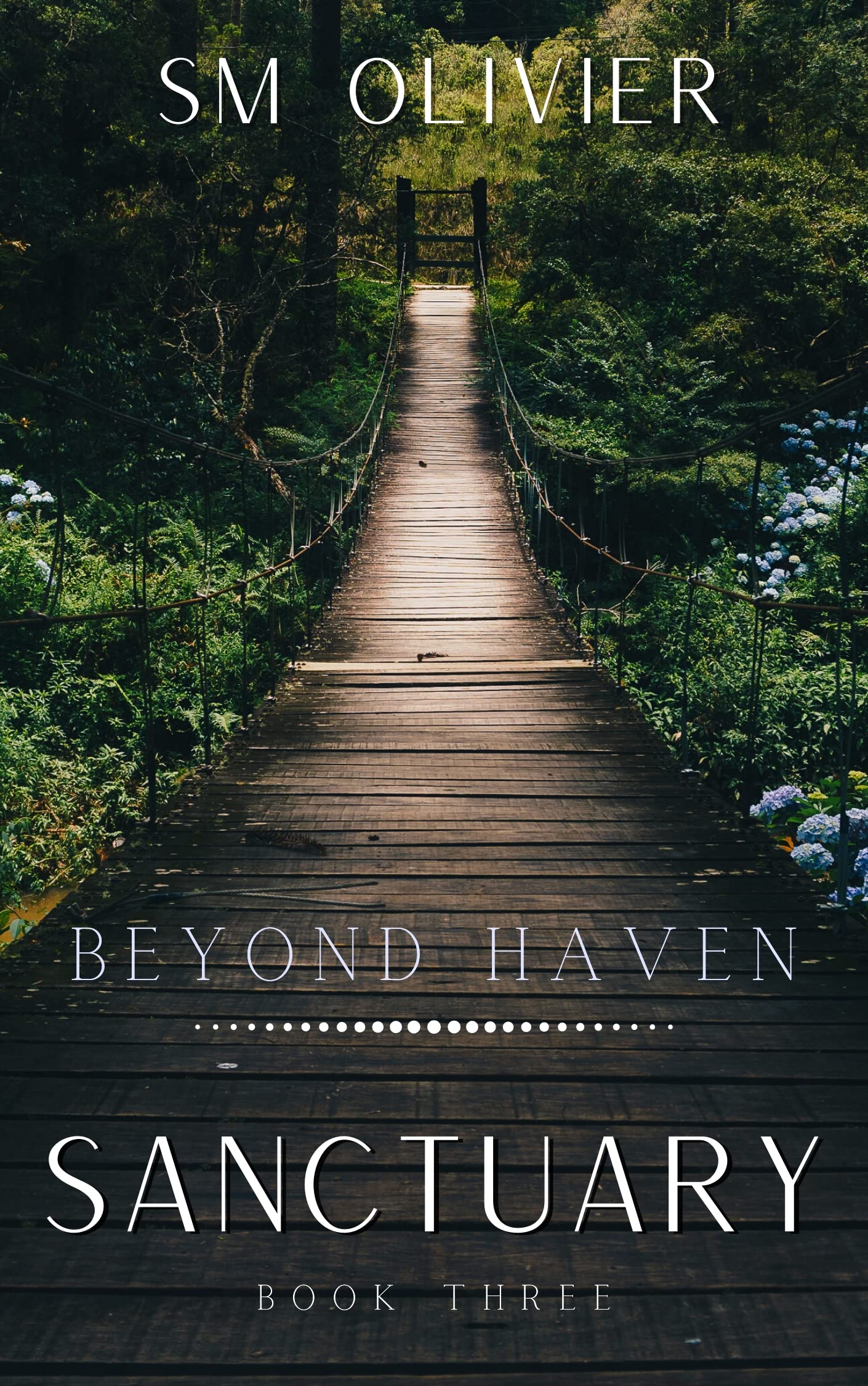 Beyond Haven (Sanctuary, #3)