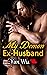My Demon Ex-Husband: Lovers...