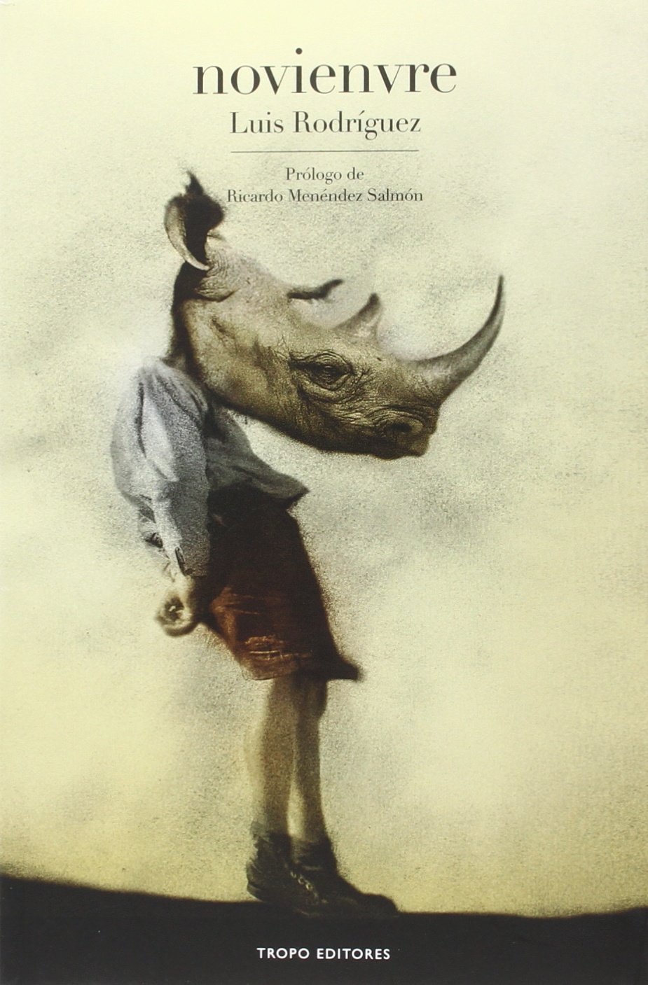 Novienvre (Paperback)