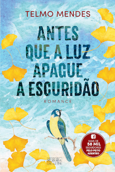 Antes que a Luz Apague a Escuridão (Paperback)