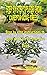 STEP BY STEP TIPS FOR GROW ...