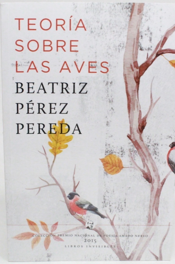 Teoria sobre las aves (Paperback)