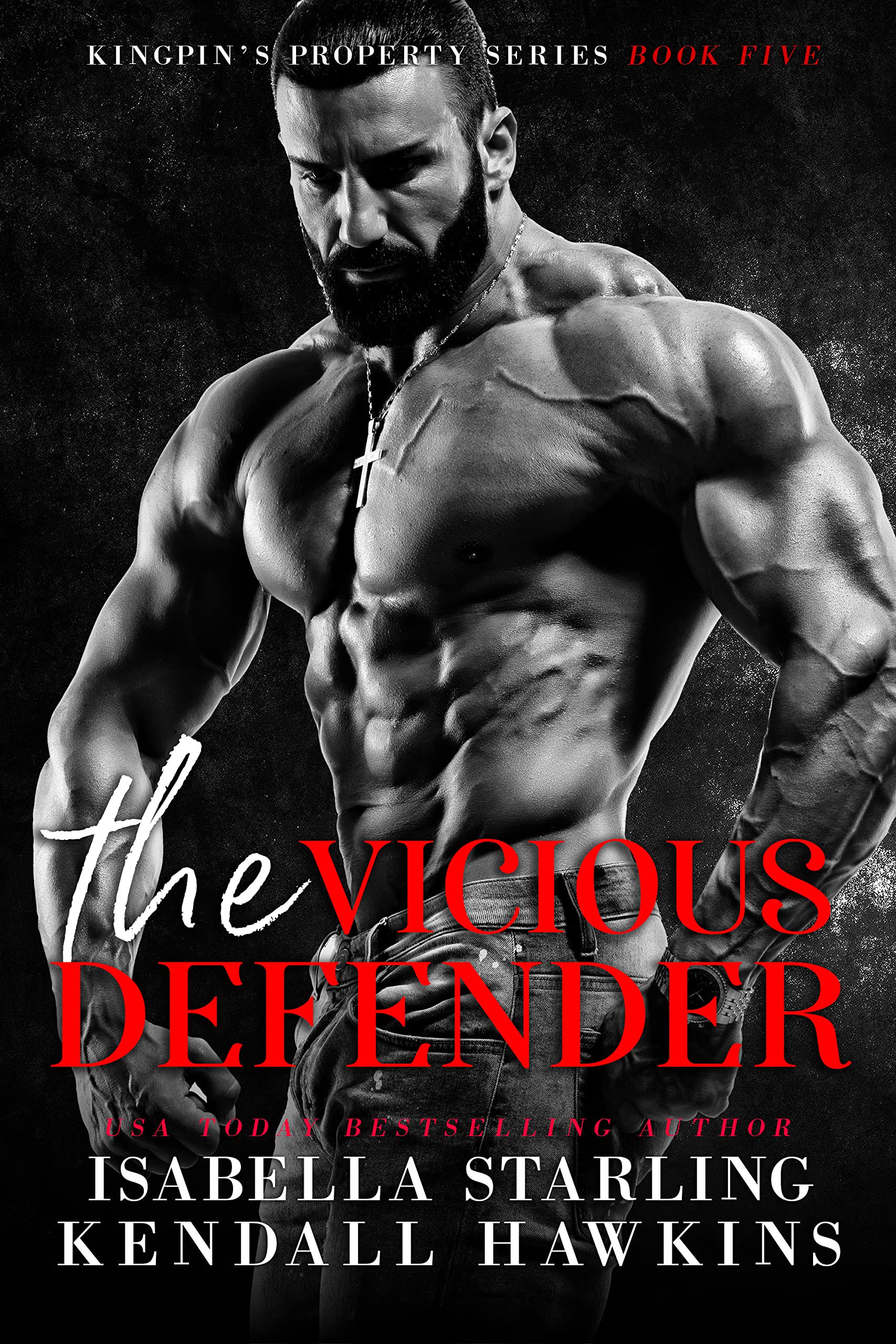 The Vicious Defender (Kingpin's Property #5)