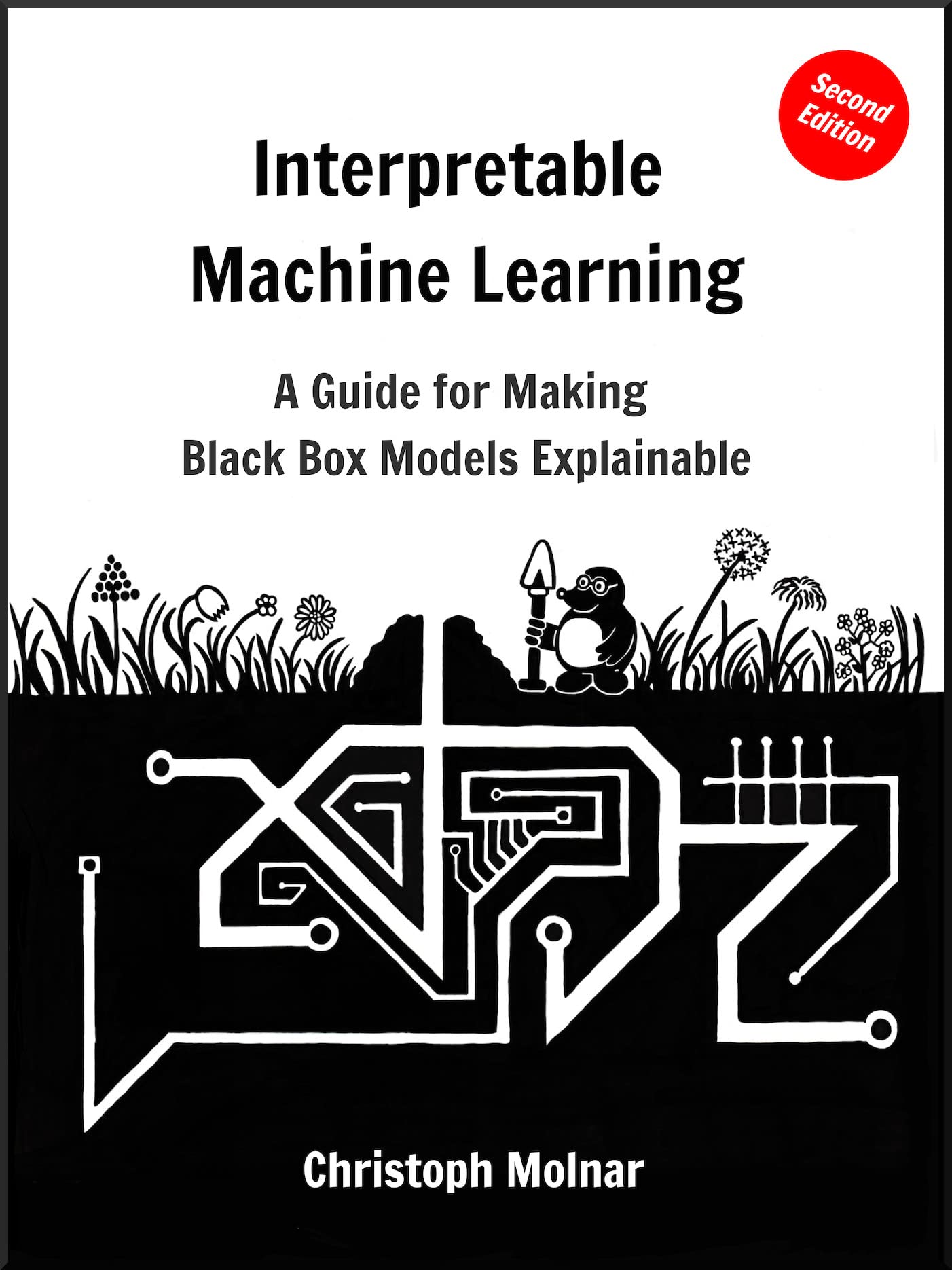 Interpretable Machine Learning: A Guide For Making Black Box Models Explainable (Kindle Edition)
