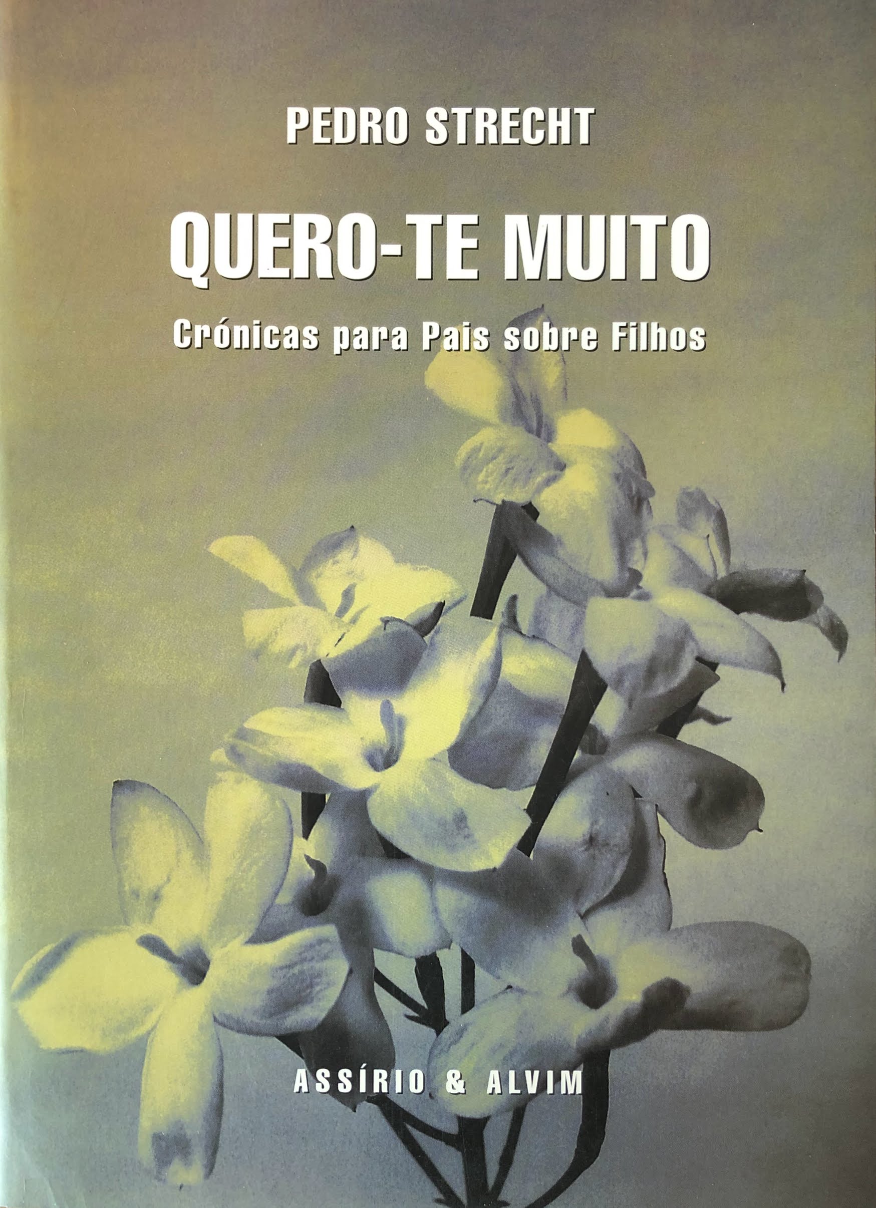 Quero-te muito - Crónicas para Pais sobre Filhos