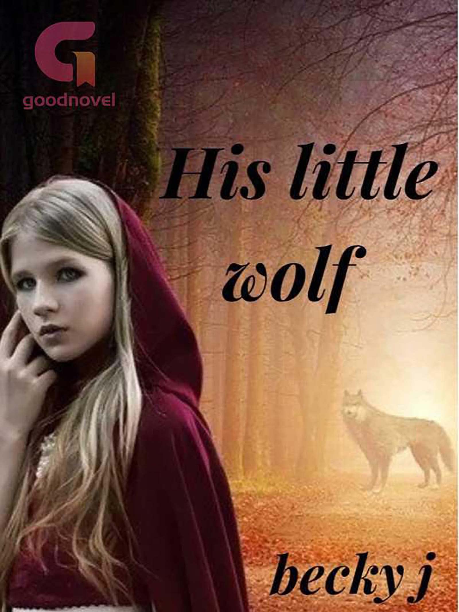 His Little Wolf: Book 1 (Kindle Edition)