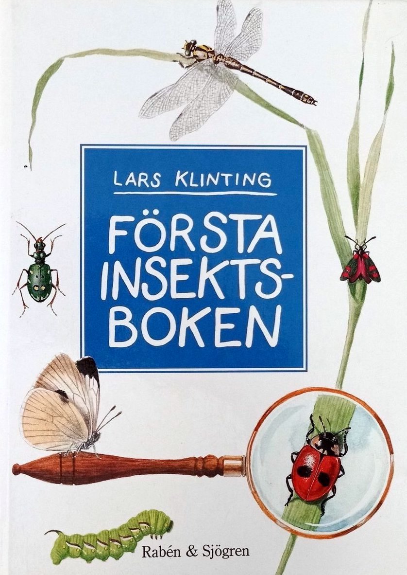 Första insektsboken (Hardcover)