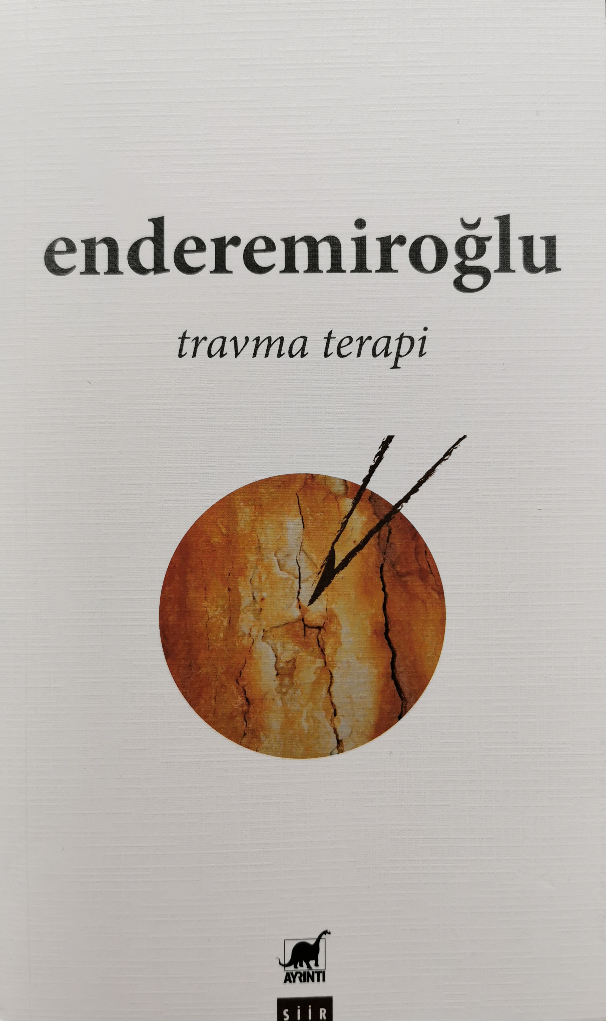 Travma Terapi (Paperback)