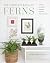 Complete Book of Ferns: Indoors Outdoors Growing Crafting History & Lore