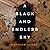 A Black and Endless Sky