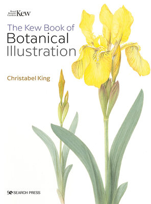Kew Book of Botanical Illustration (Paperback)