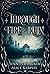 Through Fire and Ruin (Through Fire and Ruin, #1)