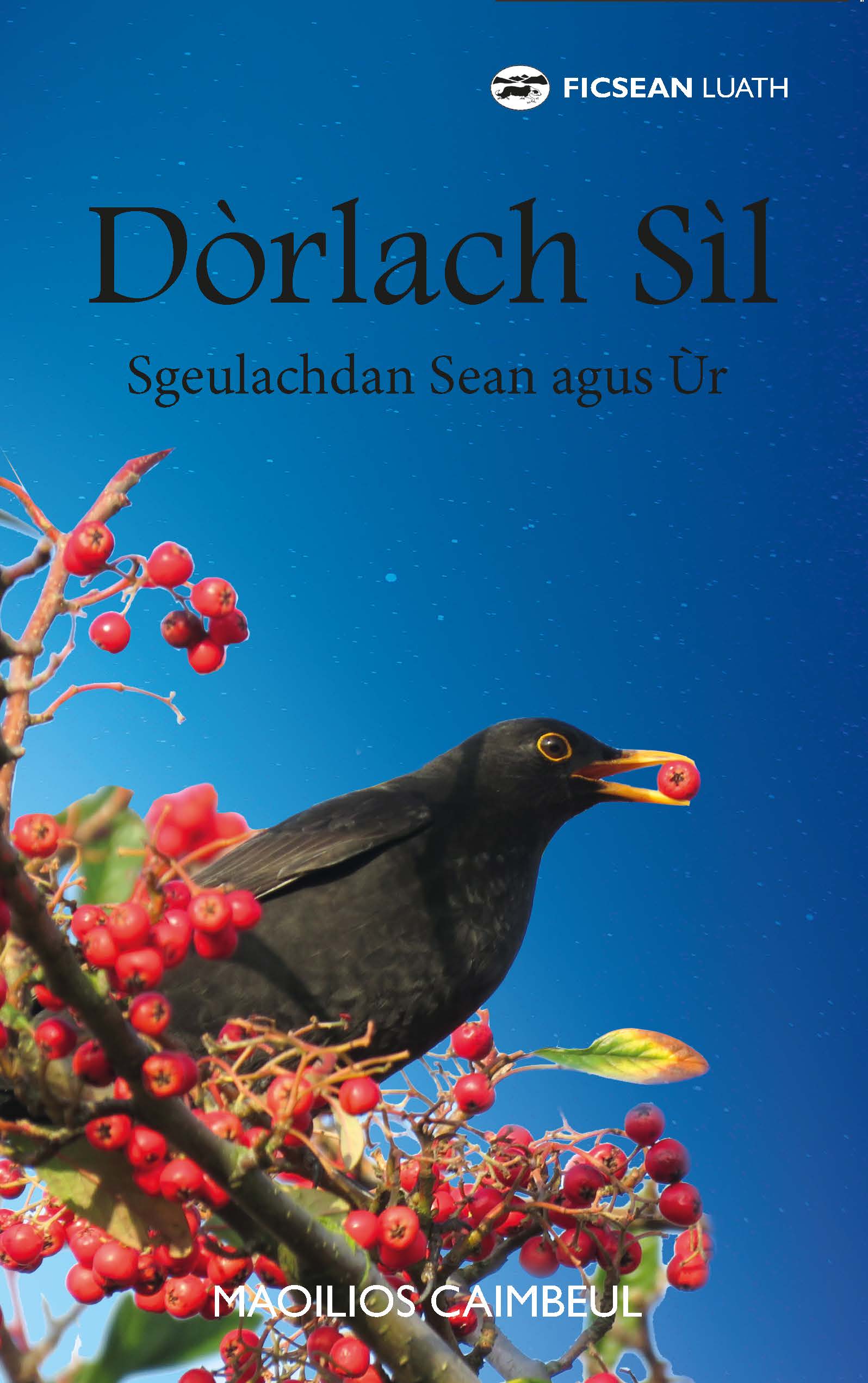Dòrlach Sil: Sgeulachdan Sean agus Ùr