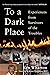 To a Dark Place: Experiences from Survivors of the Troubles