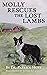 Molly Rescues the Lost Lambs by Patrick Hunt