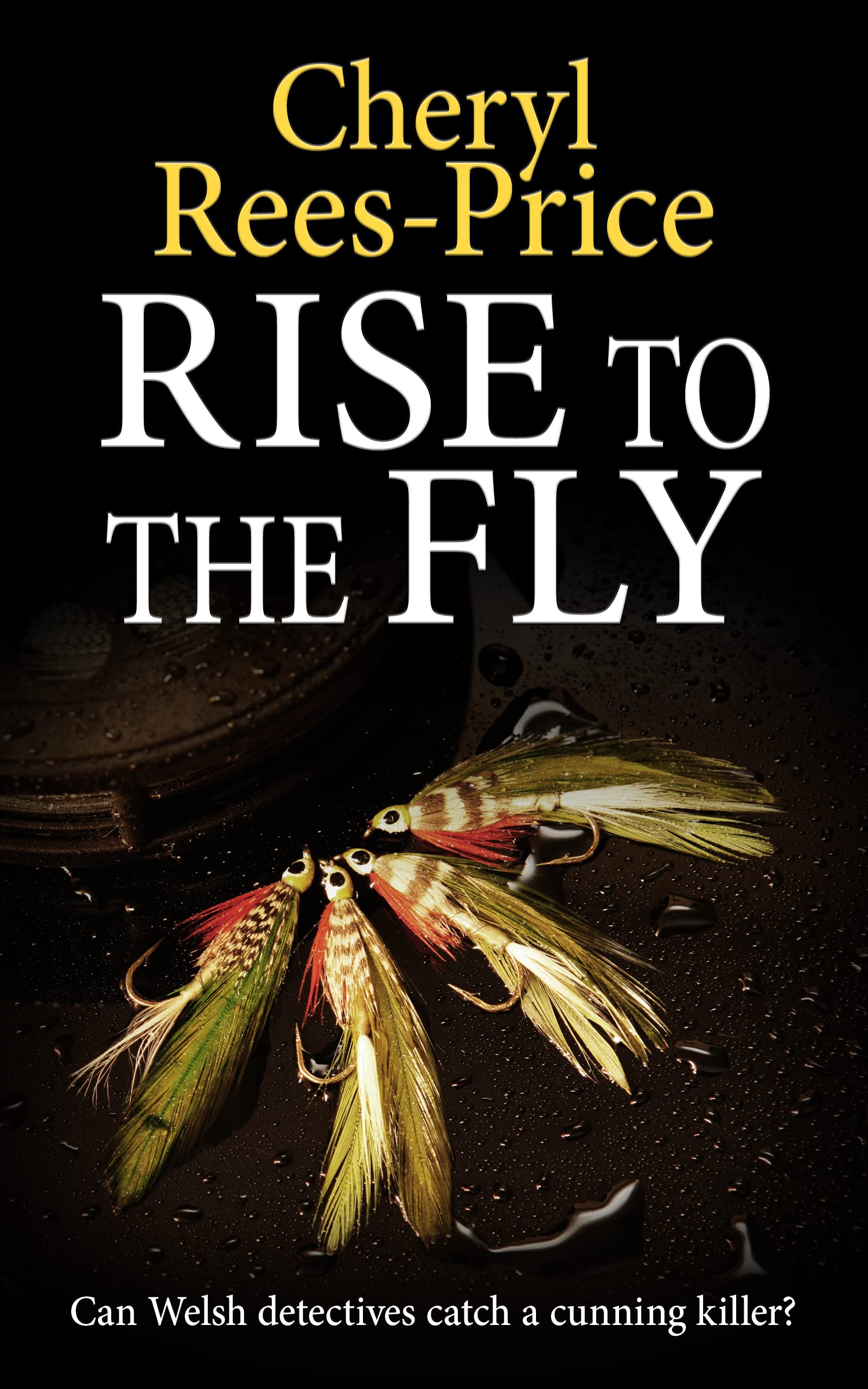 Rise to the Fly (DI Winter Meadows, #6)