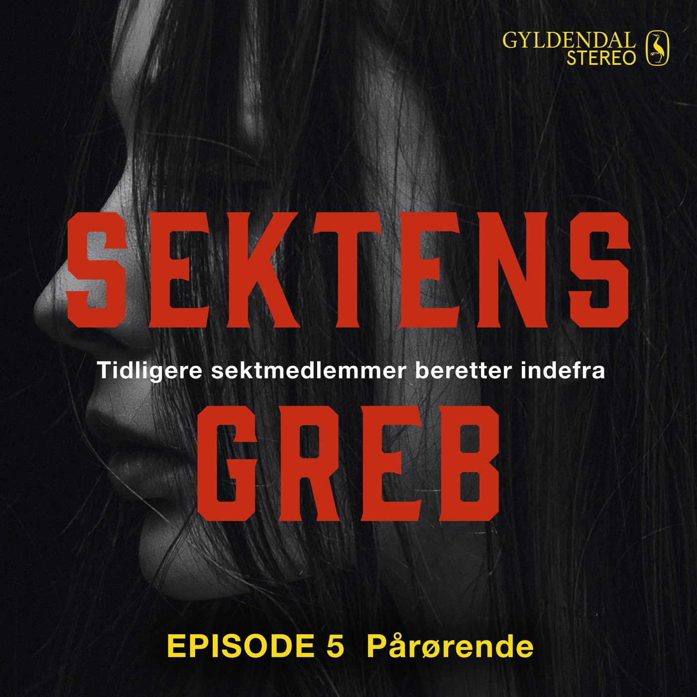 Sektens greb: Pårørende EP#5: Tidligere sektmedlemmer beretter indefra