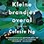 Kleine brandjes overal
